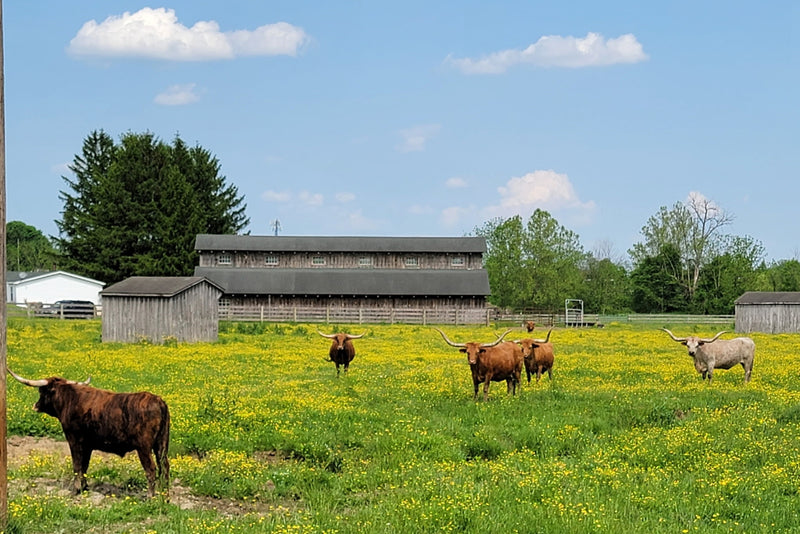 The barn