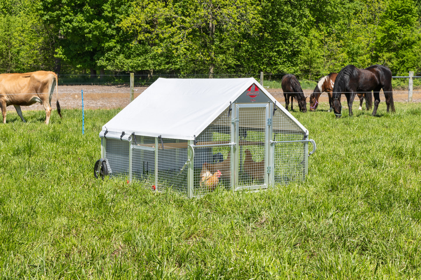 5 x 6 Alumi-Coop