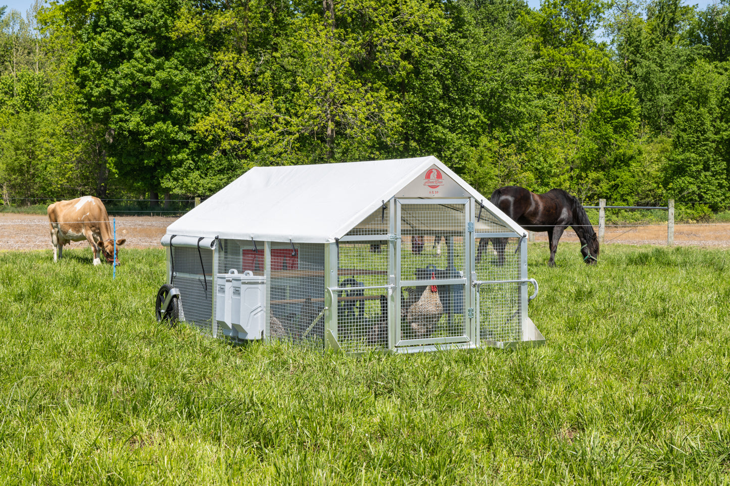 6x10 Alumi-Coop