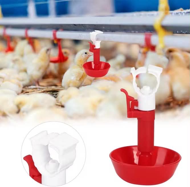 Chick Waterer Nipple Cup