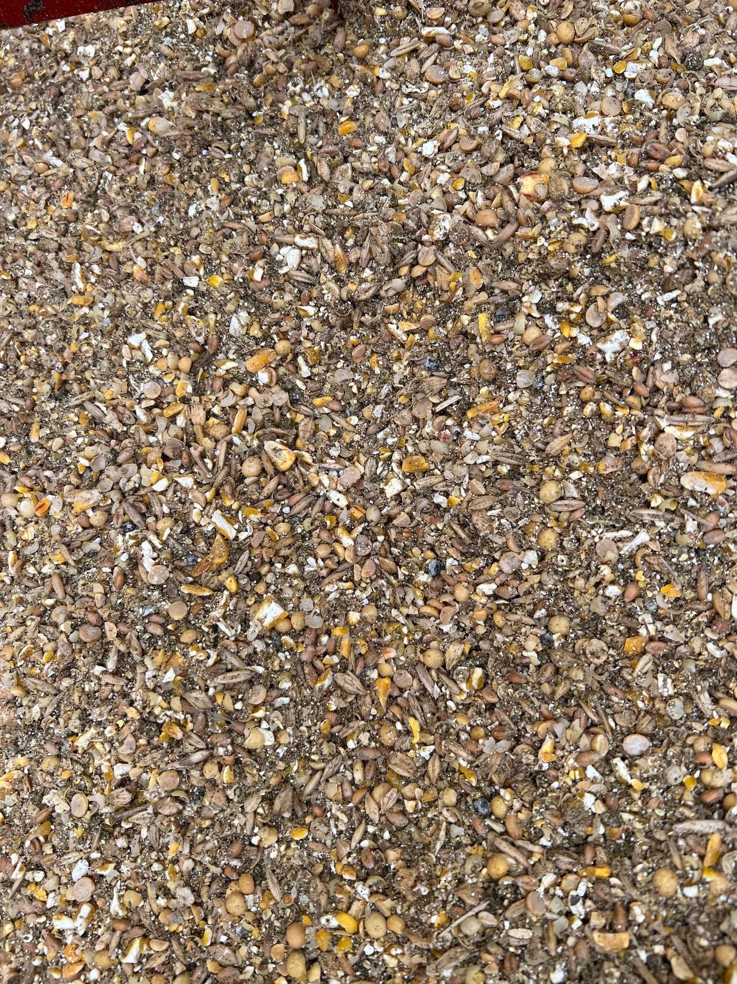 Show Pro 18% Premium Breeder Feed