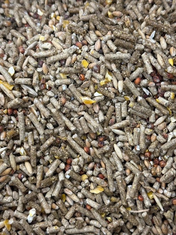 The Ultimate Exhibition Conditioning Feed - Walker Supply Co