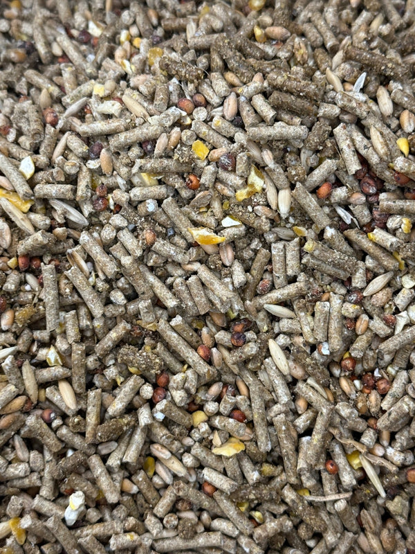 The Ultimate Exhibition Conditioning Feed - Walker Supply Co